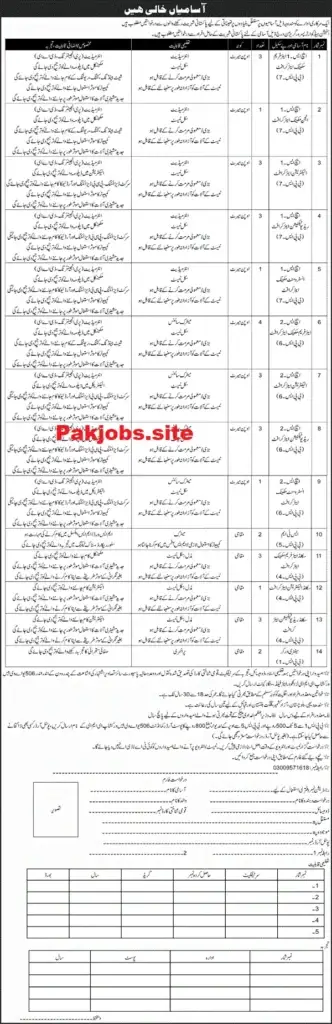 The Latest Government Organization Job in Mangla Pakistan 2024