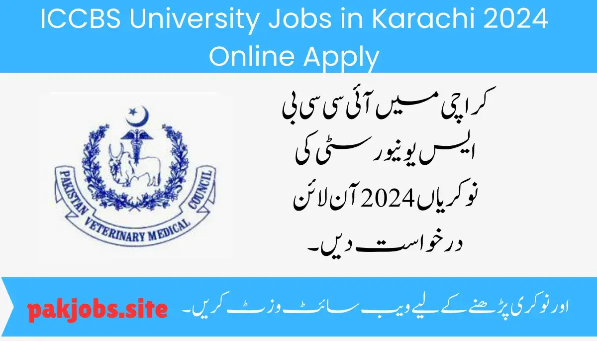 ICCBS University Jobs in Karachi 2024 Online Apply