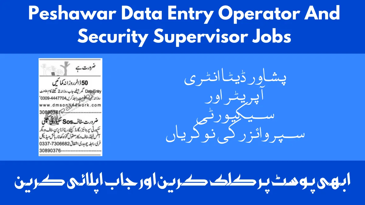 Peshawar Data Entry Operator And Security Supervisor Jobs