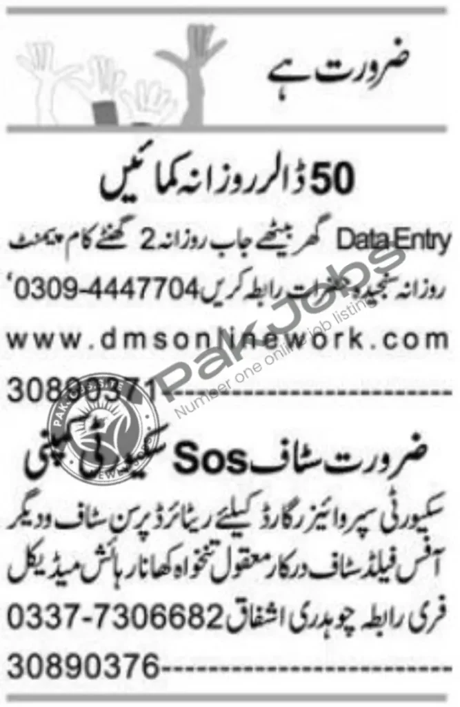 Peshawar Data Entry Operator And Security Supervisor Jobs