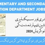 Elementary and Secondary Education Department Jobs 2024