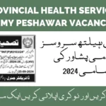 Provincial Health Services Academy Peshawar Vacancy 2024